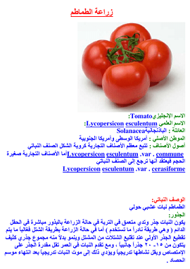 كتاب زراعة الطماطم