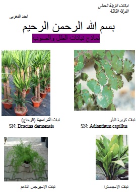 كتاب نباتات الظل والصوب